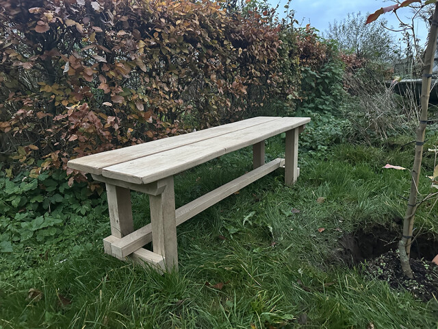 Bankje bij gedenkboom